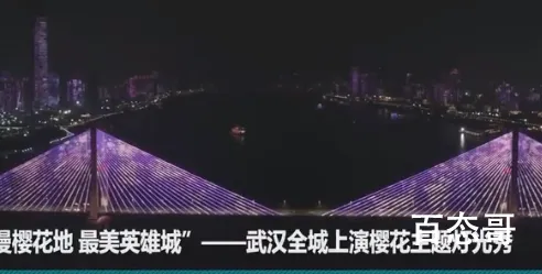 武汉全城上演樱花主题灯光秀 武汉灯光秀开始时间是什么时候