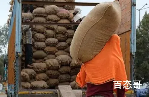 印度最新大米禁令会影响中国吗 中