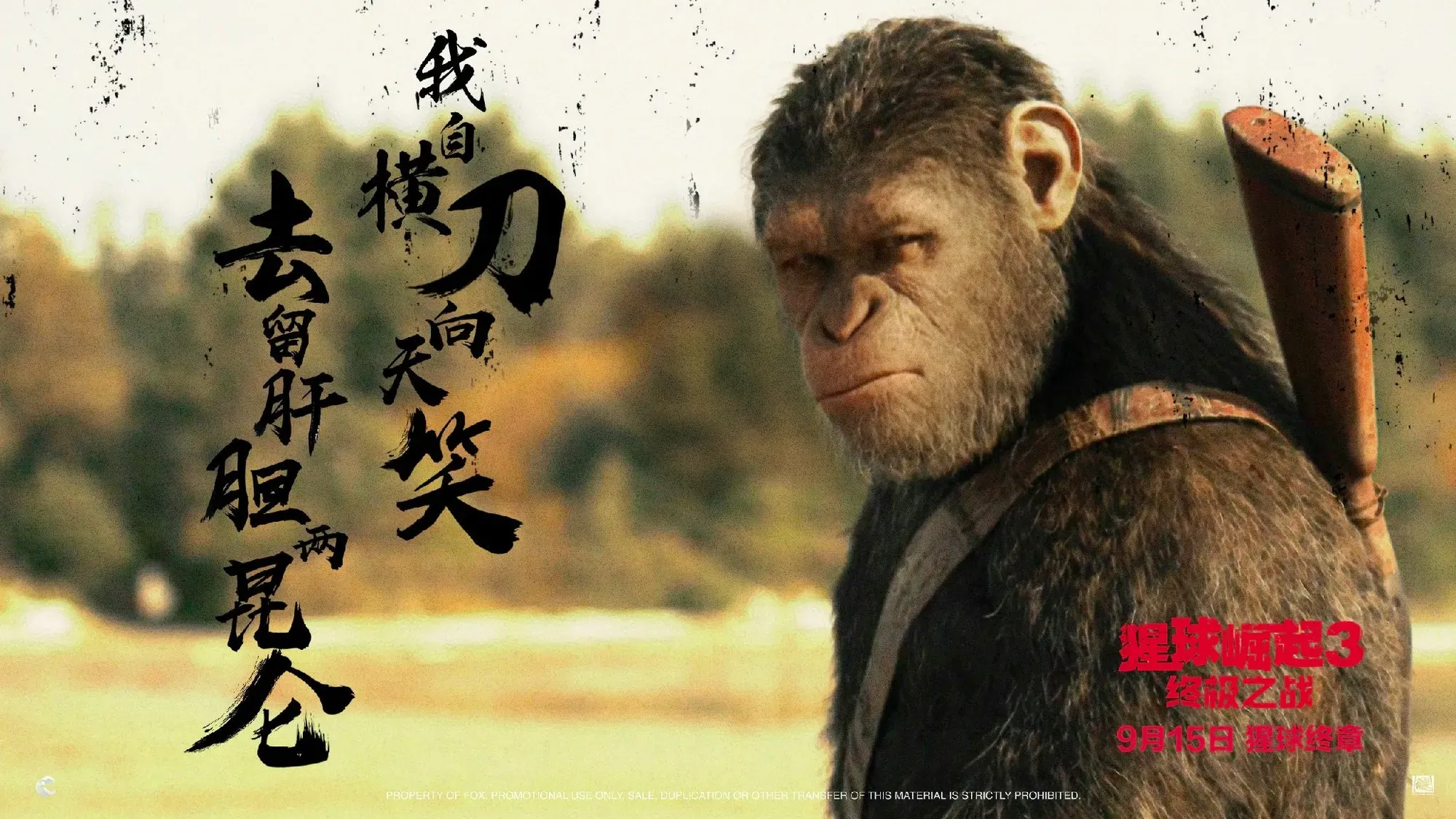 《猩球崛起3》新预告曝光，失语小萝莉暗含身份玄机