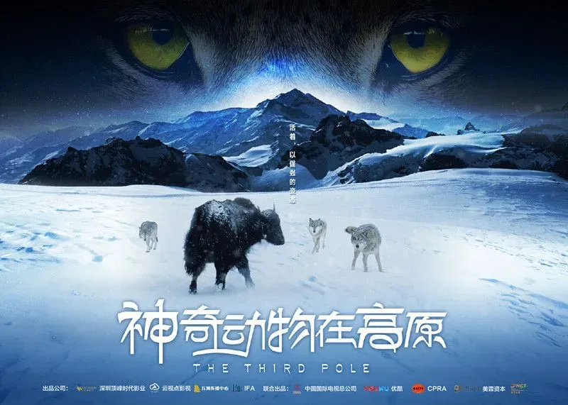 《神奇动物在高原》亮相纪录片节，概念海报首曝光令人惊叹