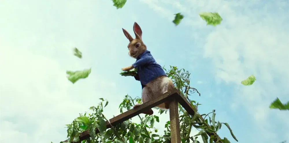世界上最红的兔子《比得兔》，J.K罗