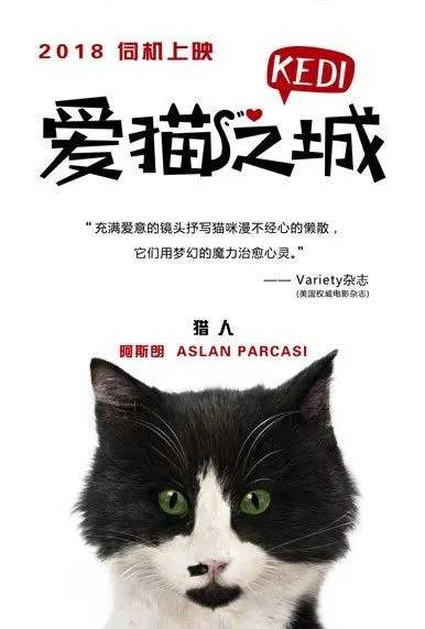 《爱猫之城》曝萌猫角色海报，七大异